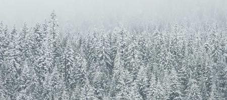 定向能武器：尖端武器深观察